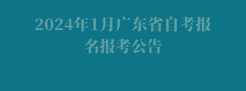 2024年1月广东省自考报名报考公告