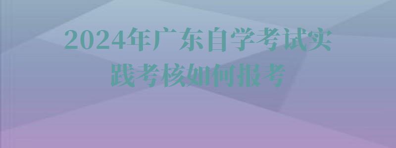 2024年广东自学考试实践考核如何报考