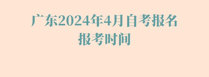 广东2024年4月自考报名报考时间