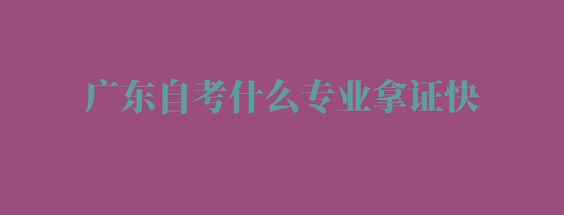 广东自考什么专业拿证快